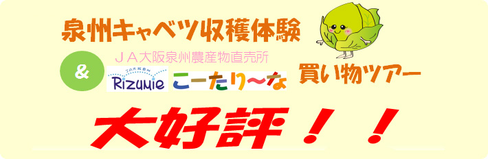 泉州キャベツ収穫体験&JA大阪泉州農産物直売所こーたり~な買い物ツアー大好評!